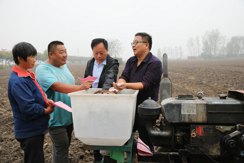 双堆集镇秋耕秋种农业生产掀起高潮